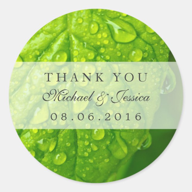 Green Leaf and Water Droplets Thank You Sticker (Front)