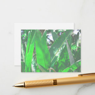 Green leaf banana type plant leaves pastel enclosure card