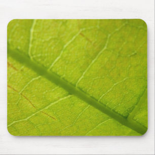 Green Leaf Botanical Nature Photography Mouse Mat