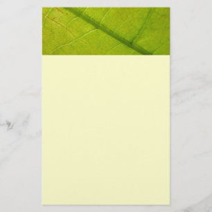 Green Leaf Botanical Nature Photography Stationery