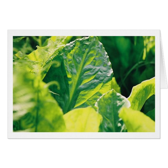 Green Leaf Card