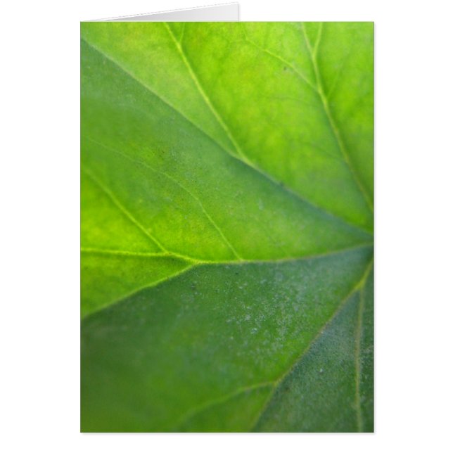 Green Leaf Card (Front)