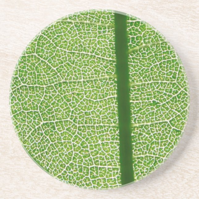 Green Leaf Close Up Coaster (Front)