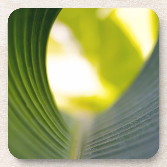 Green leaf coaster (Front)