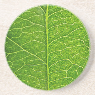 green leaf coaster