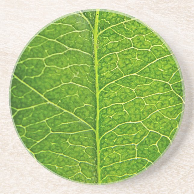 green leaf coaster (Front)