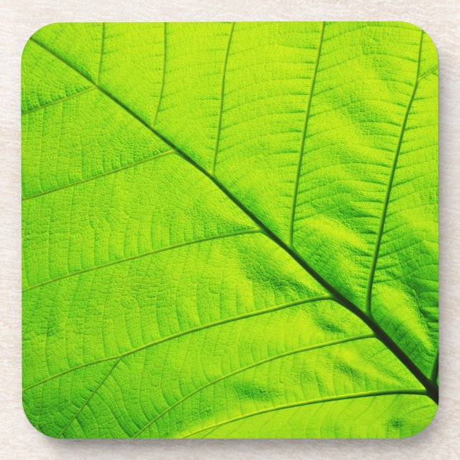 Green Leaf Coasters (Front)