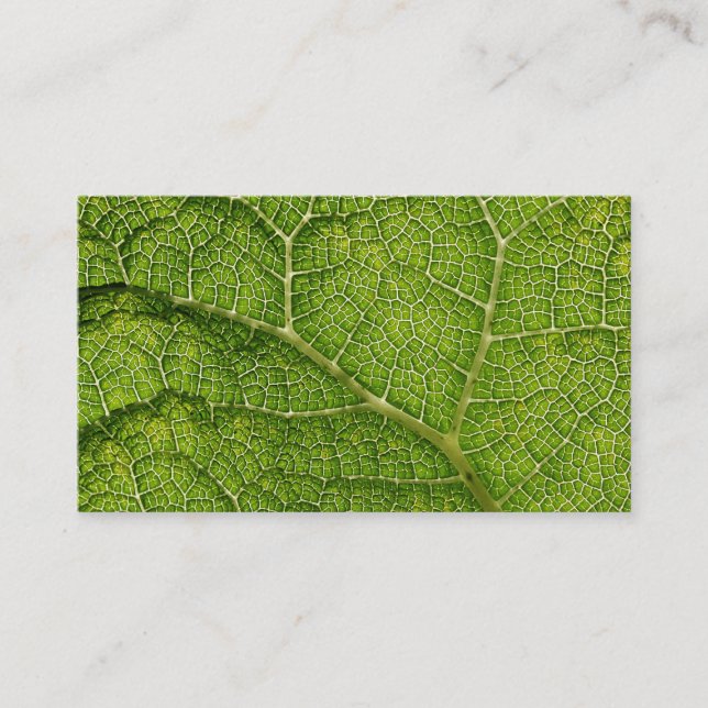 Green Leaf. Digital Art. Business Card (Front)