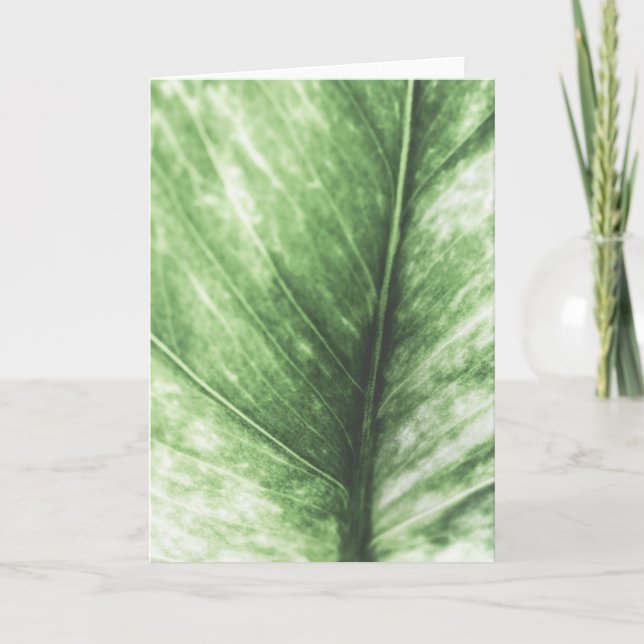 Green Leaf Floral Photo Card (Front)
