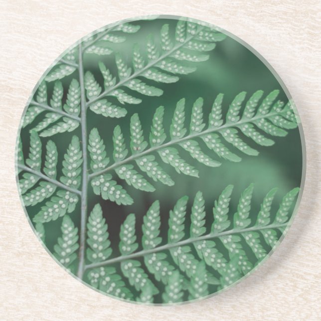Green Leaf Focused Photo Coaster (Front)