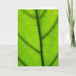 Green Leaf greeting card