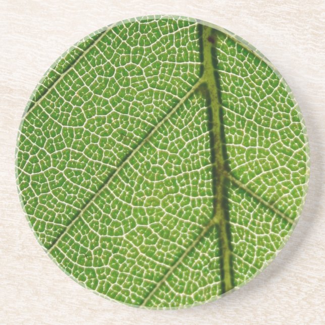 Green Leaf in Detail Coaster (Front)