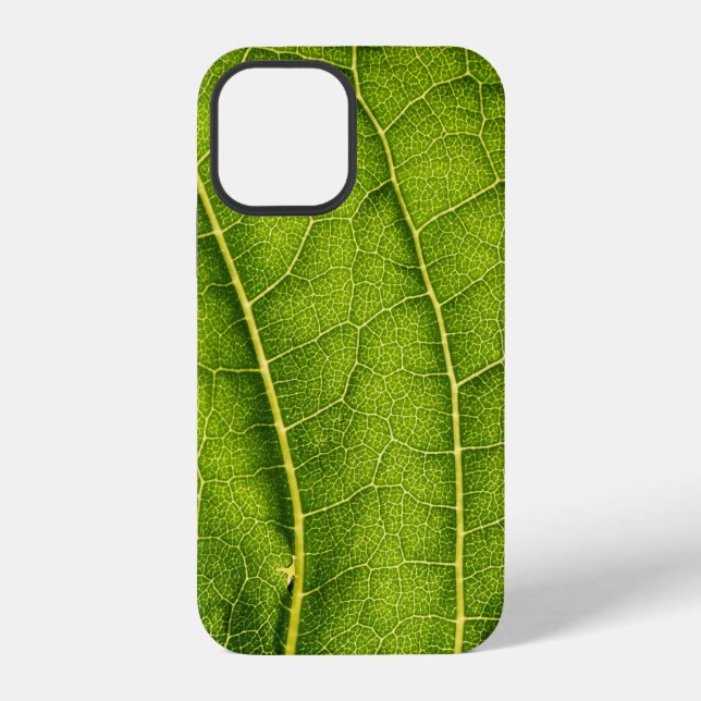 Green leaf iPhone case (Back)