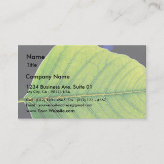 Green Leaf Leaves Business Card
