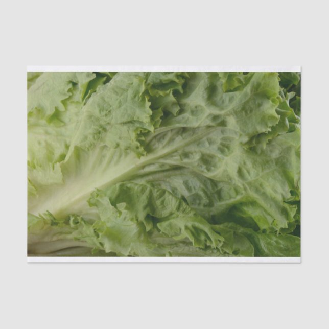 Green leaf lettuce tissue paper (Front)