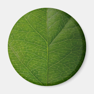 Green Leaf Magnet