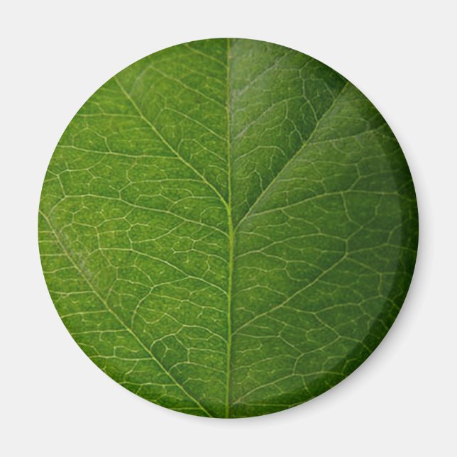 Green Leaf Magnet (Front)