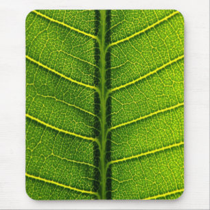Green leaf mouse mat