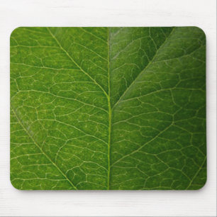 Green Leaf Mouse Mat