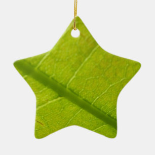 Green Leaf Nature Photography Ceramic Tree Decoration