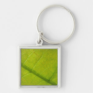 Green Leaf Nature Photography Key Ring