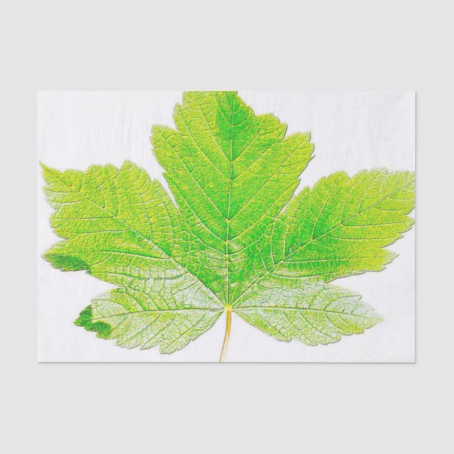 Green Leaf Nature Tissue Paper (Front)
