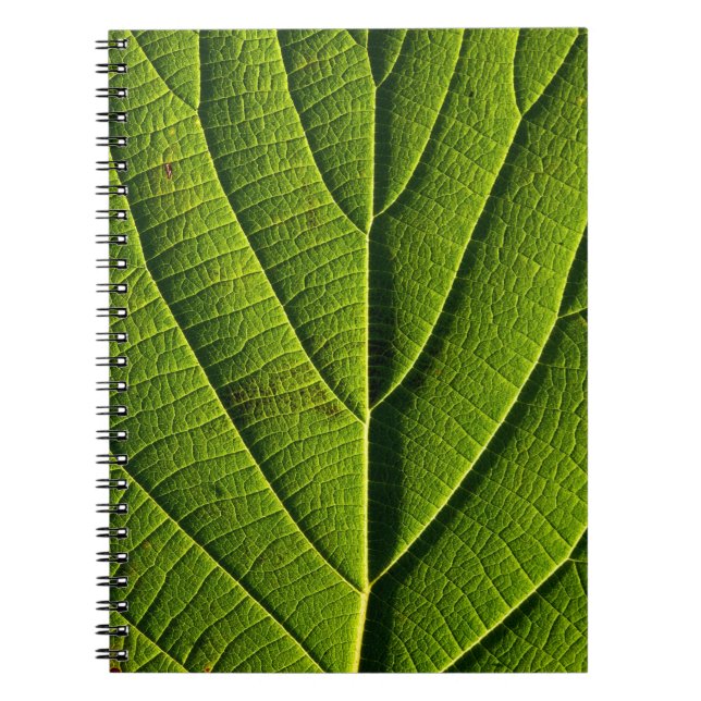 Green leaf notebook (Front)