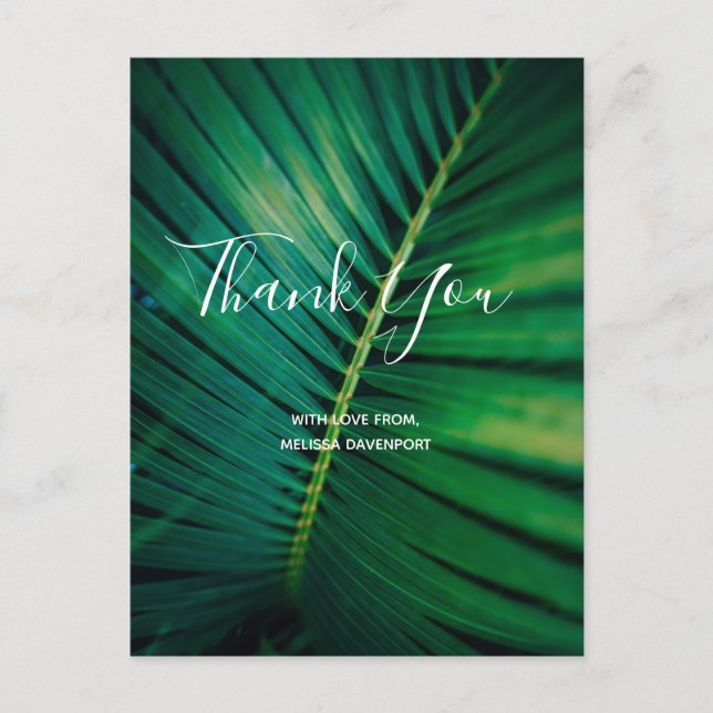 Green Leaf Palm Frond Closeup Photo Thank You Postcard (Front)