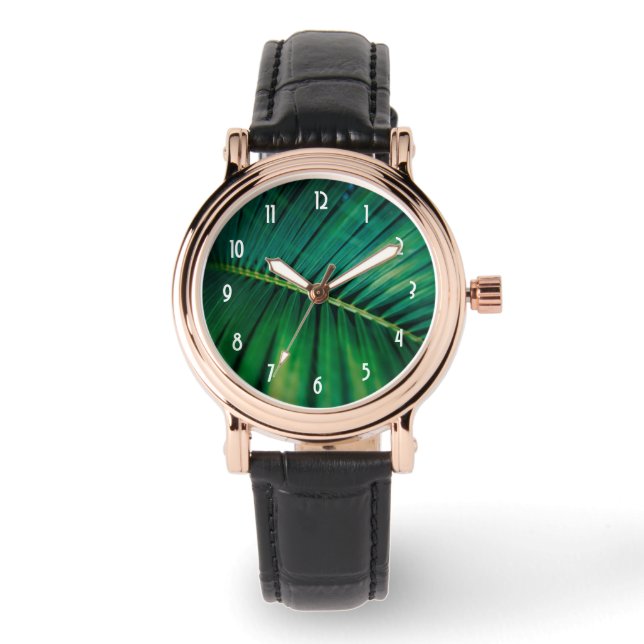 Green Leaf Palm Frond Tropical Nature Photo Watch (Front)