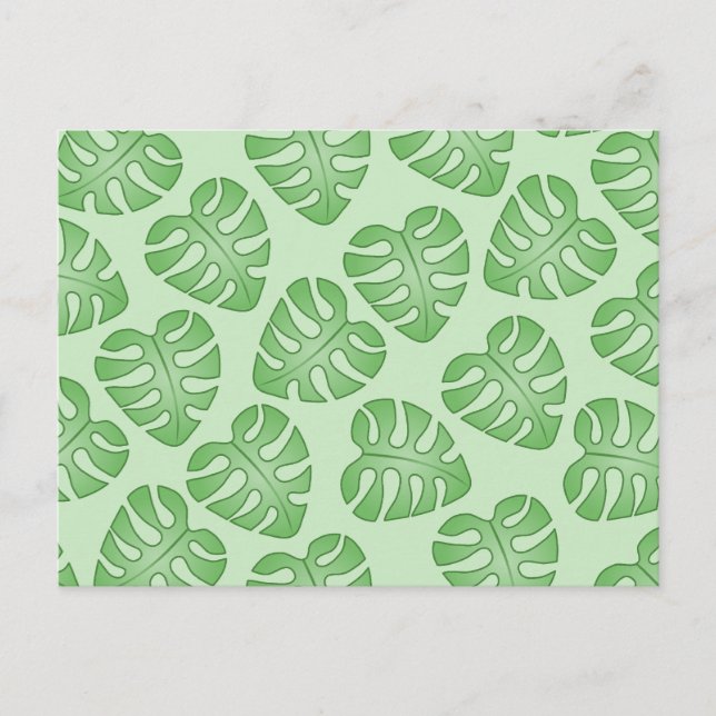 Green Leaf Pattern, Monstera Leaves. Postcard (Front)
