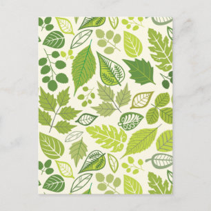 Green Leaf Pattern Postcard