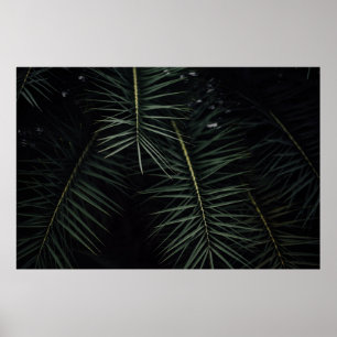 GREEN LEAF PLANT DURING NIGHTTIME POSTER
