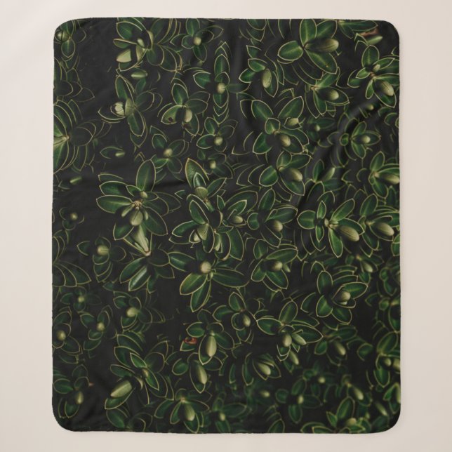 Green leaf plant sherpa blanket (Front)