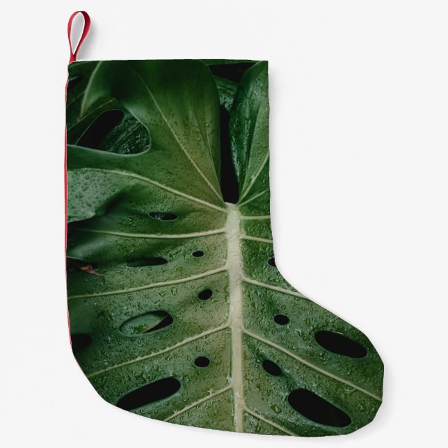 Green leaf plant small christmas stocking (Front)