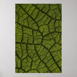 Green leaf poster