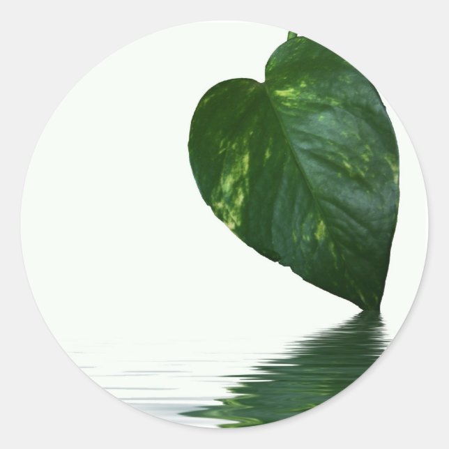 Green Leaf reflection on water theme Classic Round Sticker (Front)