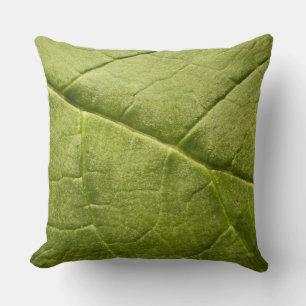 Green Leaf Rhubarb Cushion