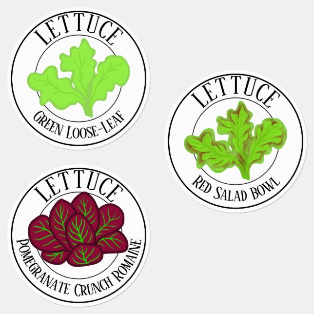 Green-Leaf, Romaine and Red Salad Bowl Lettuce (Group)
