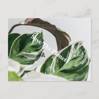 Green Leaf Sava the planet Postcard
