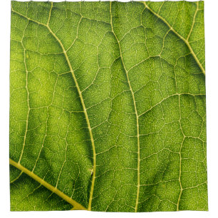 Green leaf shower curtain
