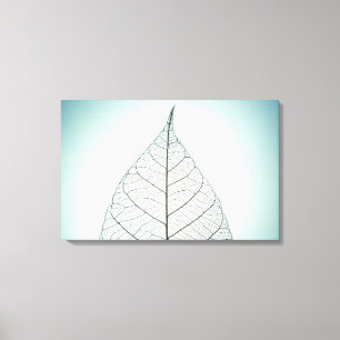 Green Leaf Skeleton Canvas Print