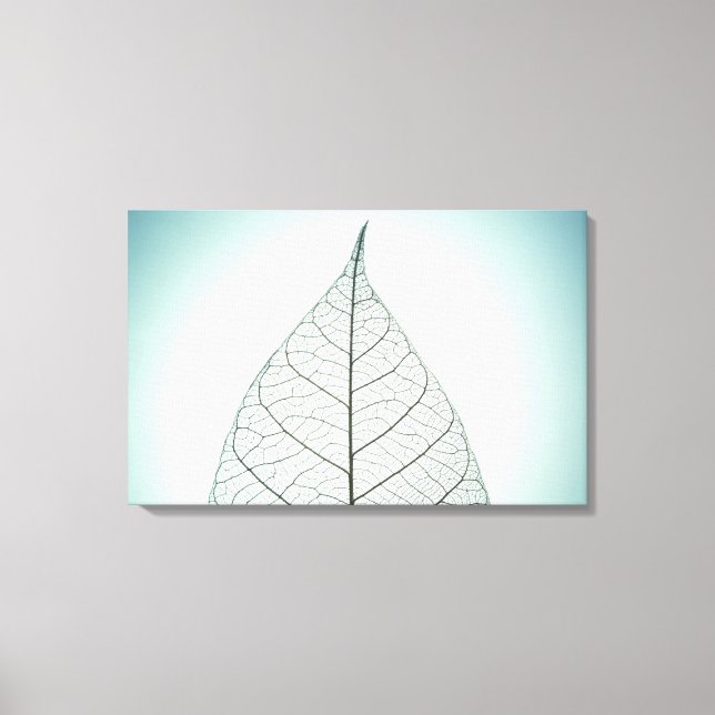 Green Leaf Skeleton Canvas Print (Front)
