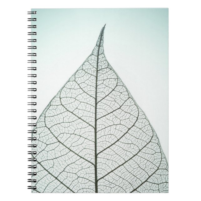 Green Leaf Skeleton Notebook (Front)