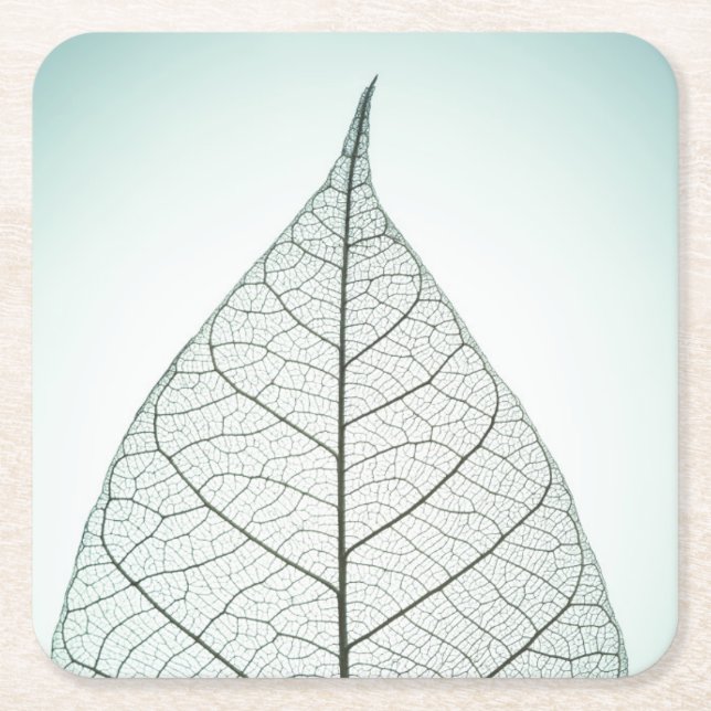 Green Leaf Skeleton Square Paper Coaster (Front)