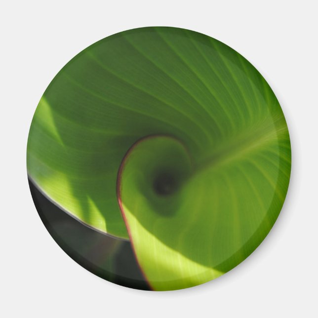 Green Leaf Swirl Magnet (Front)