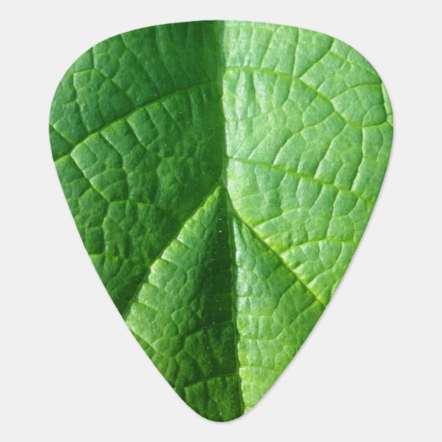 Green Leaf Texture Guitar Pick (Front)