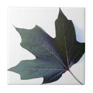 Green Leaf Tile