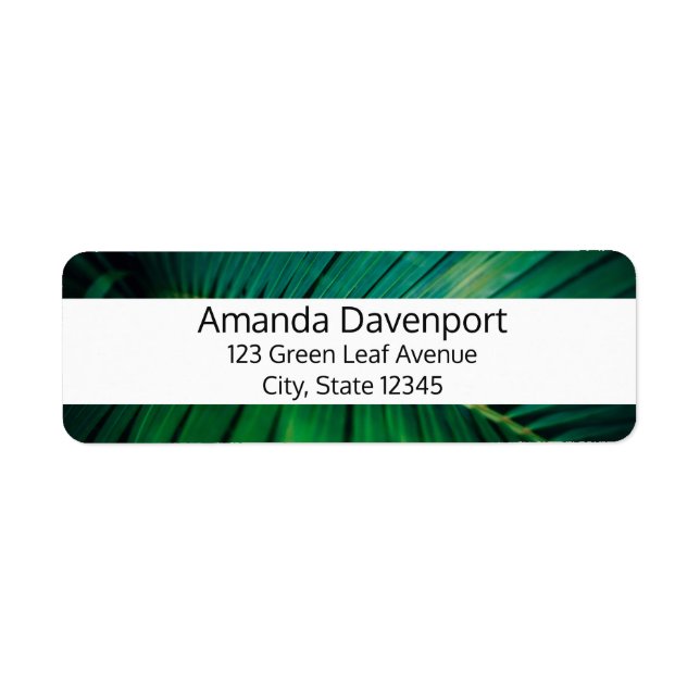 Green Leaf Tropical Forest Nature Photo (Front)