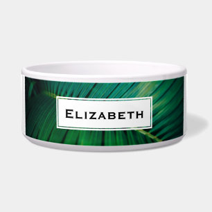 Green Leaf Tropical Forest Nature Photo