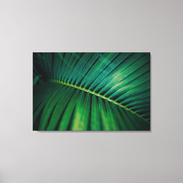 Green Leaf Tropical Forest Nature Photo Canvas Print (Front)